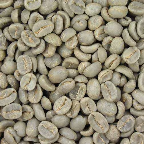 COFFEE BEANS | Green (unroasted) coffee beans sourced from Indonesian growing regions, offered to roasters and traders who want control over their own roast profile.