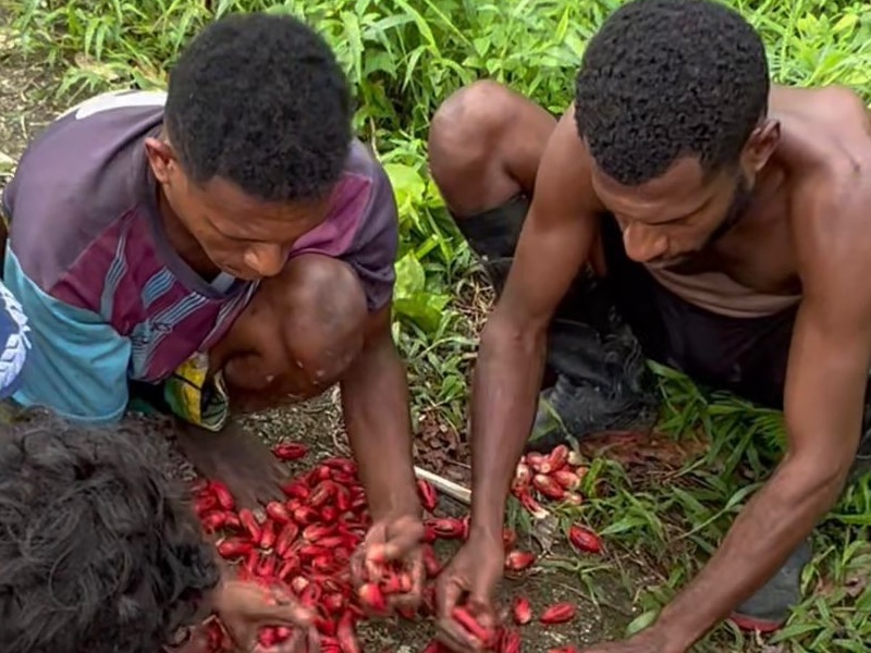 Understanding the Farmers' Economy