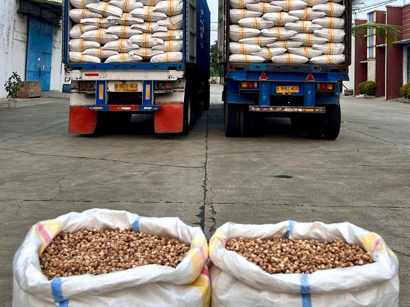 Loading & Shipment - Stuffing Process