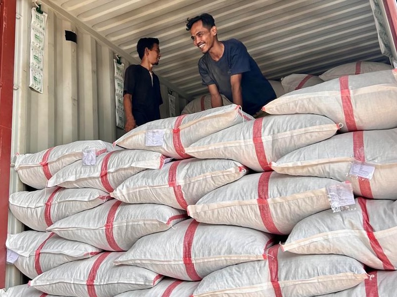 Loading & Shipment - Stuffing Process