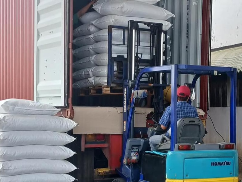 Loading & Shipment - Stuffing Process