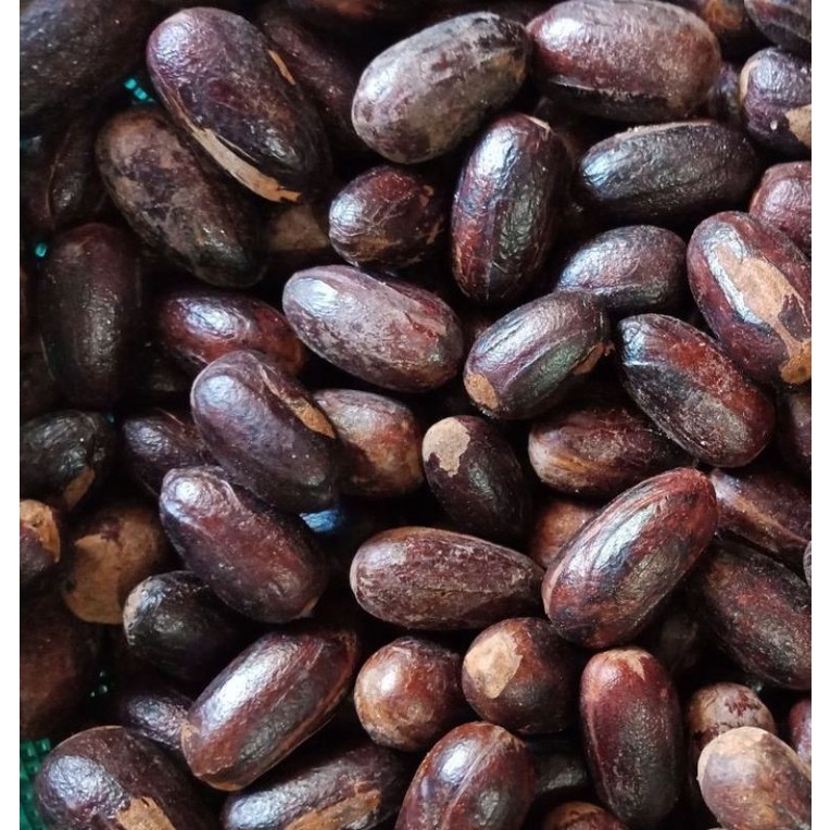 LONG NUTMEG | Whole dried nutmeg with its distinctive elongated shape, sourced from Indonesian nutmeg-growing regions. Rich in essential oil, it's used whole or ground across food, beverage, and fragrance industries.