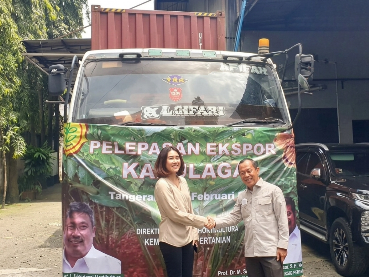 Cardamom export Rp 1.5M