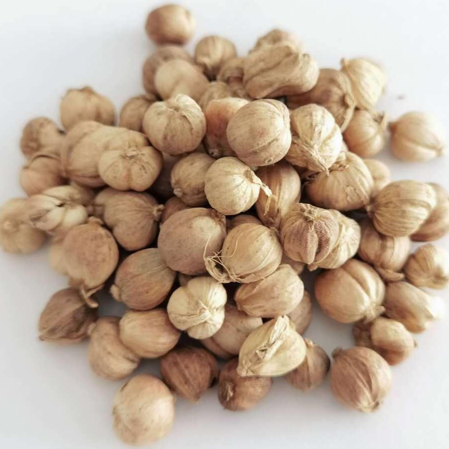 White Cardamom